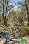728 The Bridle Track, Duramana, NSW 2795-Image