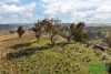 728 The Bridle Track, Duramana, NSW 2795-Image