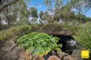 73, Axedale VIC 3551-Image