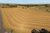 73 Clairvaux Lane, Kelso, NSW 2795-Image