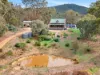 731 North Creek Road, Ancona, Vic 3715-Image