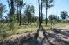 738 Males Drive, Tara, Qld 4421-Image