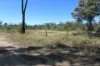 738 Males Drive, Tara, Qld 4421-Image