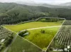 740 Forbes River Road, Birdwood, NSW 2446-Image