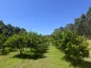 75 Hawke Road (Yeagarup), Pemberton, WA 6260-Image