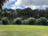 75 Hawke Road (Yeagarup), Pemberton, WA 6260-Image