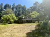 75 Hawke Road (Yeagarup), Pemberton, WA 6260-Image