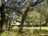 75 Hawke Road (Yeagarup), Pemberton, WA 6260-Image