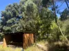 75 Hawke Road (Yeagarup), Pemberton, WA 6260-Image