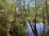 75 Hawke Road (Yeagarup), Pemberton, WA 6260-Image