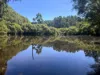75 Hawke Road (Yeagarup), Pemberton, WA 6260-Image