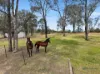 75 Whipbird Road, Pheasants Nest, NSW 2574-Image