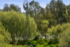 755 Long Lane, Mansfield, Vic 3722-Image