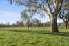755 Long Lane, Mansfield, Vic 3722-Image