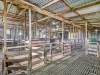 758 Coleraine - Cavendish Road, Cavendish, Vic 3314-Image