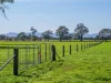758 Coleraine - Cavendish Road, Cavendish, Vic 3314-Image