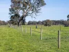 758 Coleraine - Cavendish Road, Cavendish, Vic 3314-Image