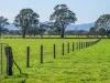 758 Coleraine - Cavendish Road, Cavendish, Vic 3314-Image