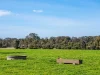 758 Coleraine - Cavendish Road, Cavendish, Vic 3314-Image