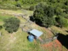 759 Boat Mountain Road, Tablelands, Qld 4605-Image