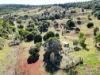 759 Boat Mountain Road, Tablelands, Qld 4605-Image