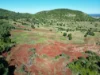 759 Boat Mountain Road, Tablelands, Qld 4605-Image