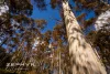759, Glen Road, Palmer, WA 6225-Image