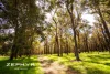 759, Glen Road, Palmer, WA 6225-Image