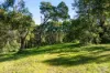 759 Old Highway, Narooma, NSW 2546-Image