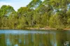 759 Old Highway, Narooma, NSW 2546-Image