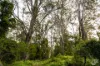 759 Old Highway, Narooma, NSW 2546-Image