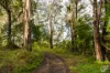 759 Old Highway, Narooma, NSW 2546-Image