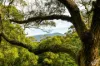 759 Old Highway, Narooma, NSW 2546-Image