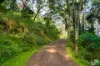 759 Old Highway, Narooma, NSW 2546-Image