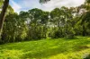 759 Old Highway, Narooma, NSW 2546-Image