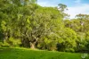 759 Old Highway, Narooma, NSW 2546-Image