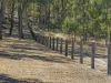 76 Gilchrist Road, Rosehill, Qld 4370-Image