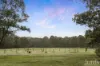 76 Rusty Lane North Arm, Branxton, NSW 2335-Image