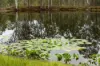 76 Rusty Lane North Arm, Branxton, NSW 2335-Image