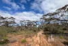 761 Mallee Acres Rd, Fisher, SA 5354