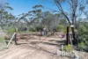 761 Mallee Acres Rd, Fisher, SA 5354-Image