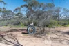 761 Mallee Acres Rd, Fisher, SA 5354-Image