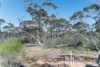 761 Mallee Acres Rd, Fisher, SA 5354-Image