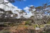 761 Mallee Acres Rd, Fisher, SA 5354-Image