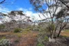 761 Mallee Acres Rd, Fisher, SA 5354-Image