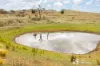 763 Old Grattai Road, Mudgee, NSW 2850-Image