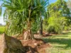 765 Tomki Tatham Road, Tatham, NSW 2471-Image