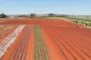 767, Peeramon QLD 4885-Image