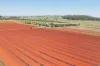 767, Peeramon QLD 4885-Image