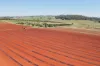 767, Peeramon QLD 4885-Image